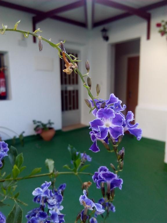 Hostal Batato Vejer de la Frontera Exterior photo